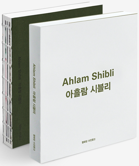 Ahlam Shibli_book cover